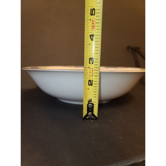 Hutschenreuther Selb HUT6 Floral & Swag 9" Round Vegetable Bowl 1920's Vintage - Picture 6 of 6